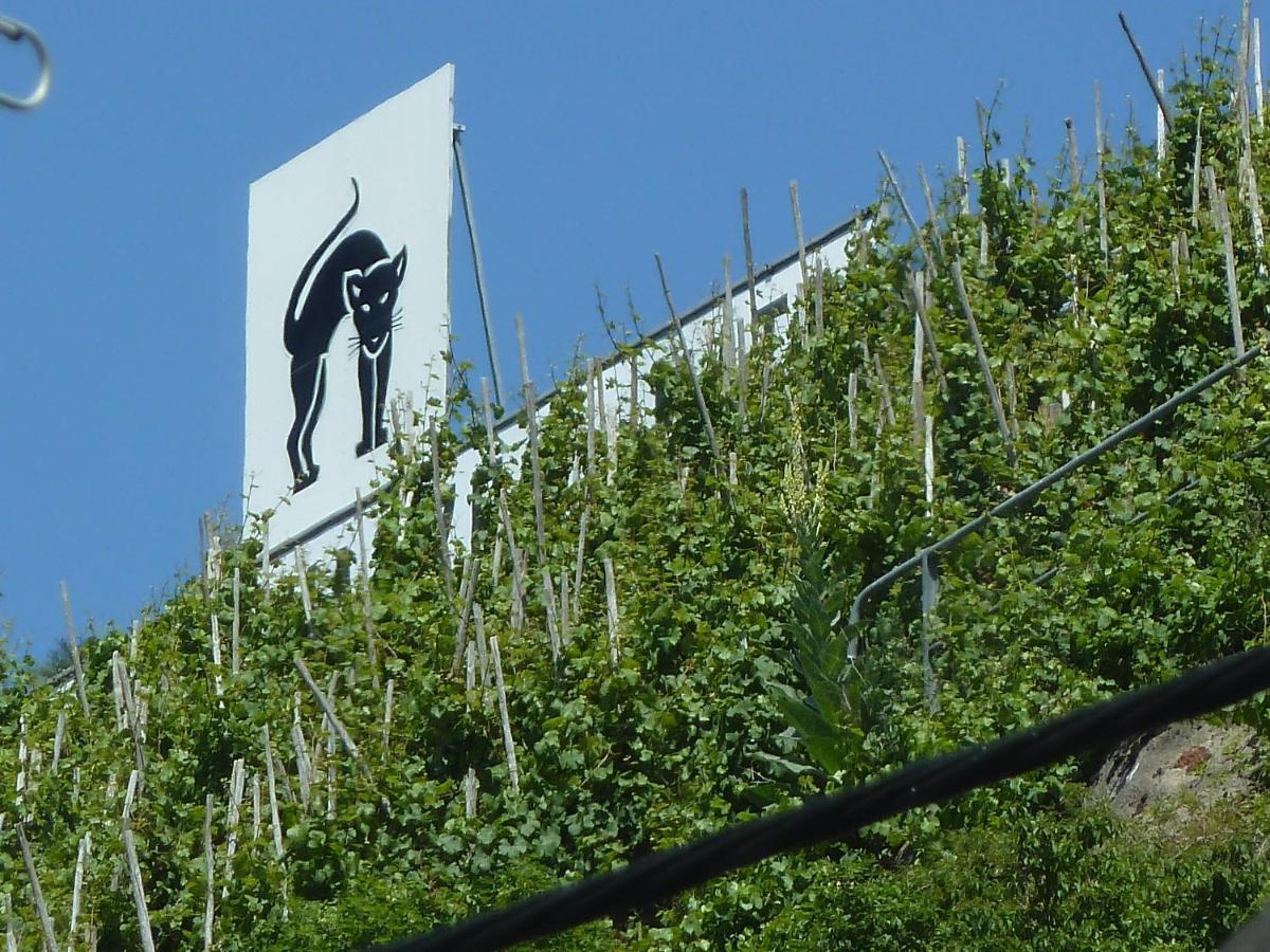 Roemerhaeuschen Zell an der Mosel Bagian luar foto
